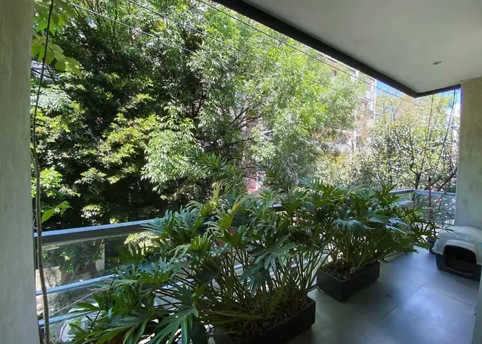 Ens- Quiet With Terrace In Condesa * Mexico